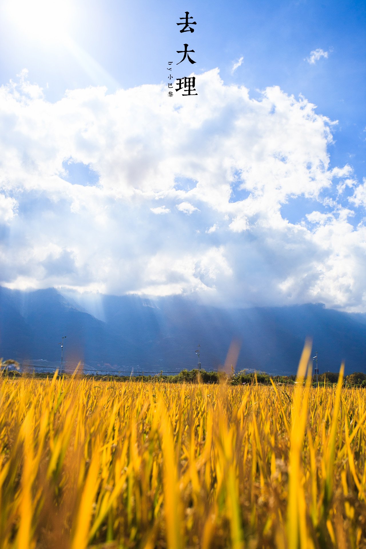 喜欢这样的田园风光,真是让人心情舒畅!再见了,我最爱的大理