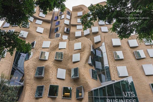 悉尼科技大学