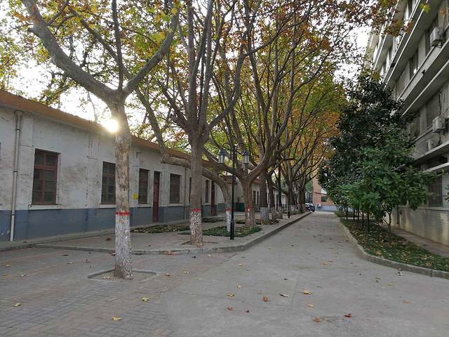 陕西师范大学(雁塔校区)-牡丹园