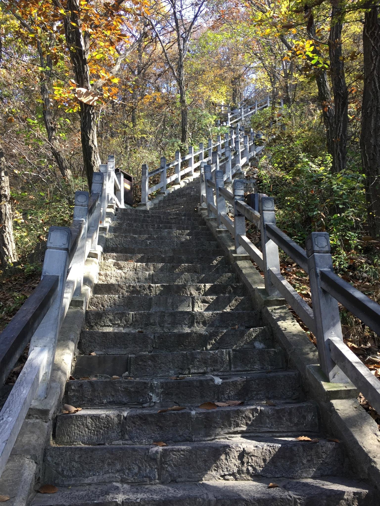 上山的路