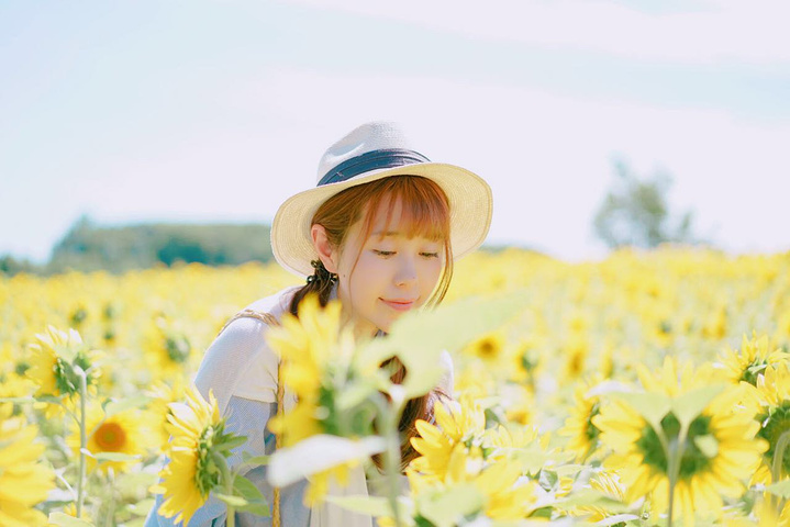 2017坐在长椅上,是不是像极了日本文艺片中的