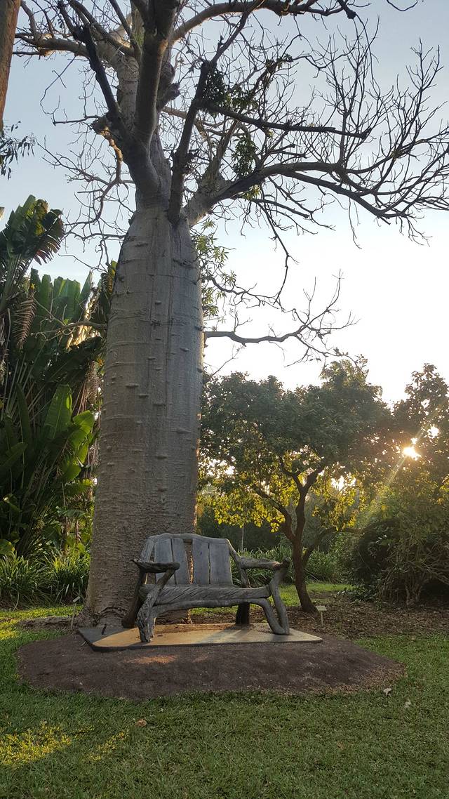 乔治·布朗植物园