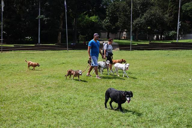 圣保罗独立公园