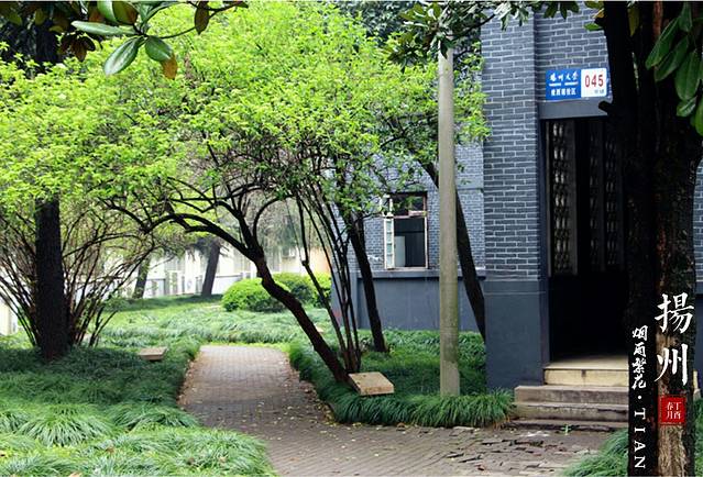 扬州大学(荷花池校区)