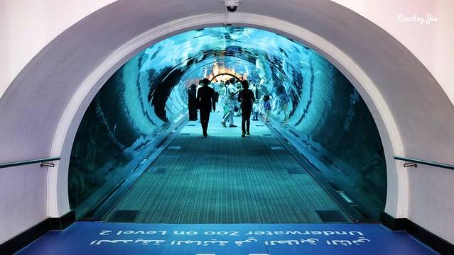 迪拜水族馆和水下动物园