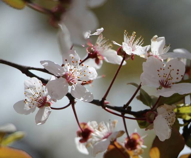 金融街购物中心