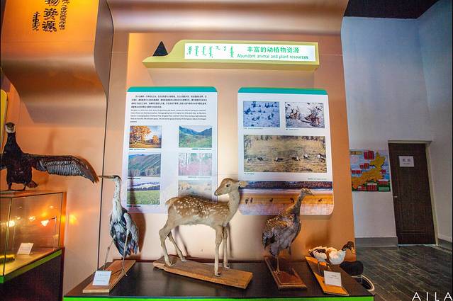 克什克腾博物馆