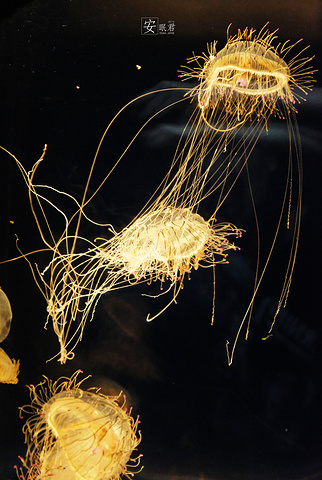 2018.游卡1日券】,包含全天地铁与部分景区门