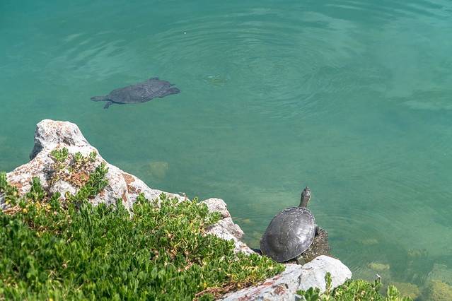 麦姬比尔农庄商店