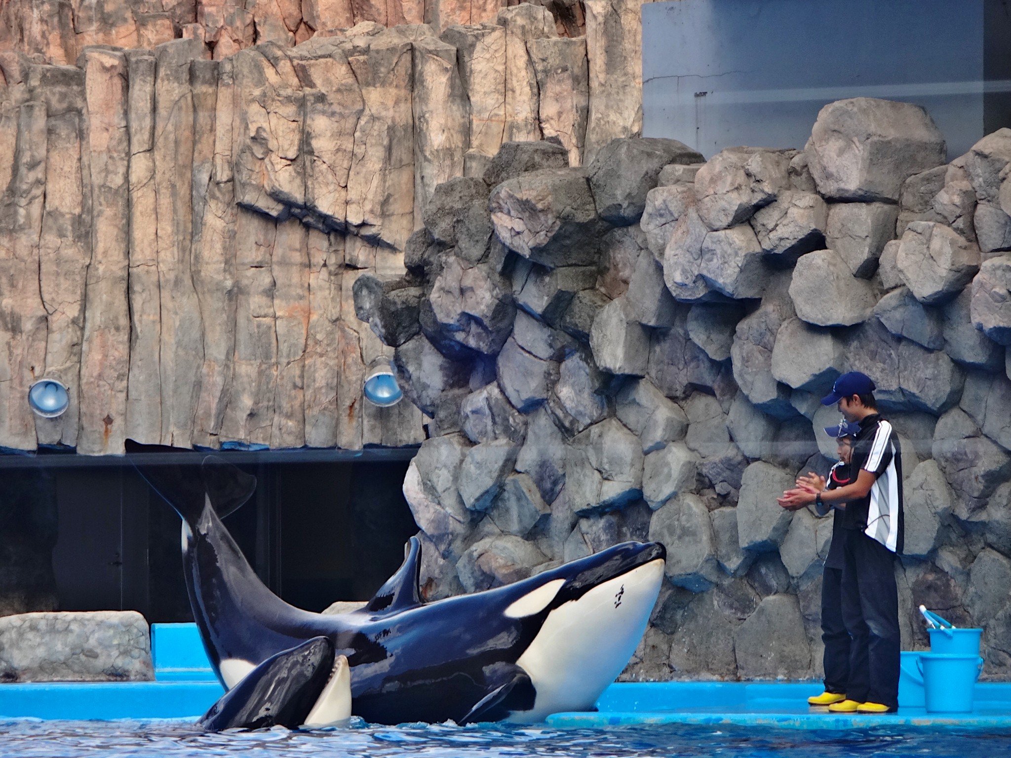 2022名古屋港水族馆游玩攻略,.心的,倒立着在你面前把嘴.