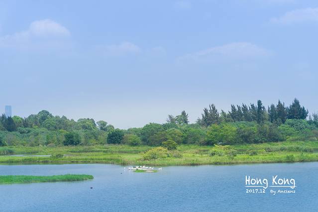 香港湿地公园