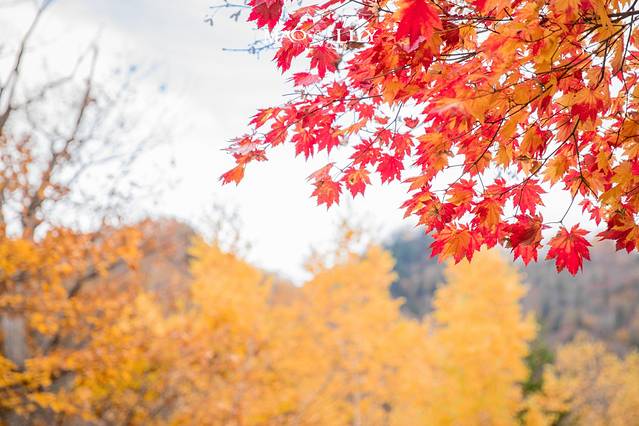 定山溪二见公园