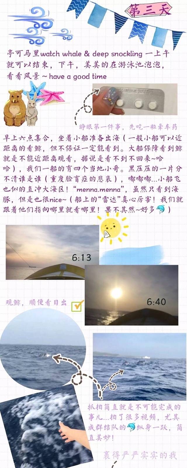亭可马里出海观鲸