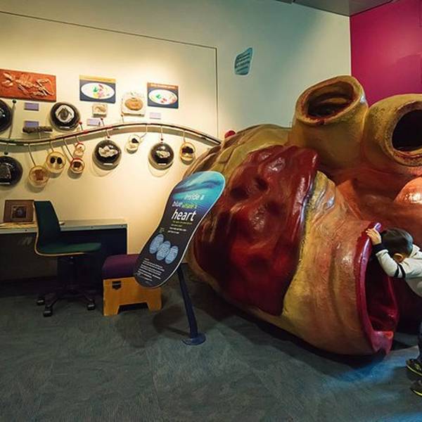 2018新西兰国家博物馆_旅游攻略_门票_地址_