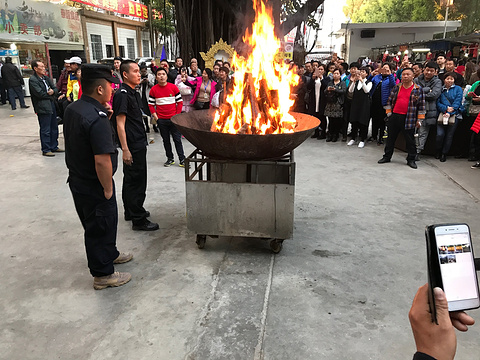 西双版纳南药园景区旅游景点攻略图