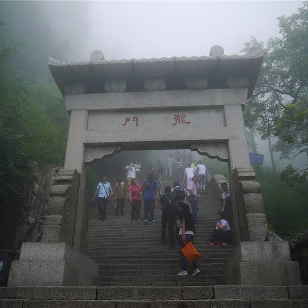 ca1f34c2cd0046b5.jpg_600x600x70_c8c9de2a.jpg