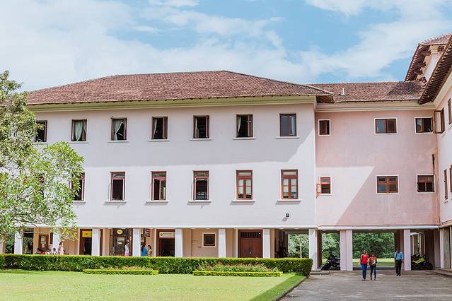 佩拉德尼亚大学