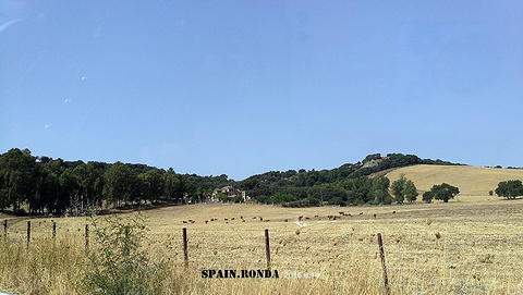 科蒂乔拉斯皮莱塔斯酒店(Hotel Cortijo Las Piletas)旅游景点攻略图