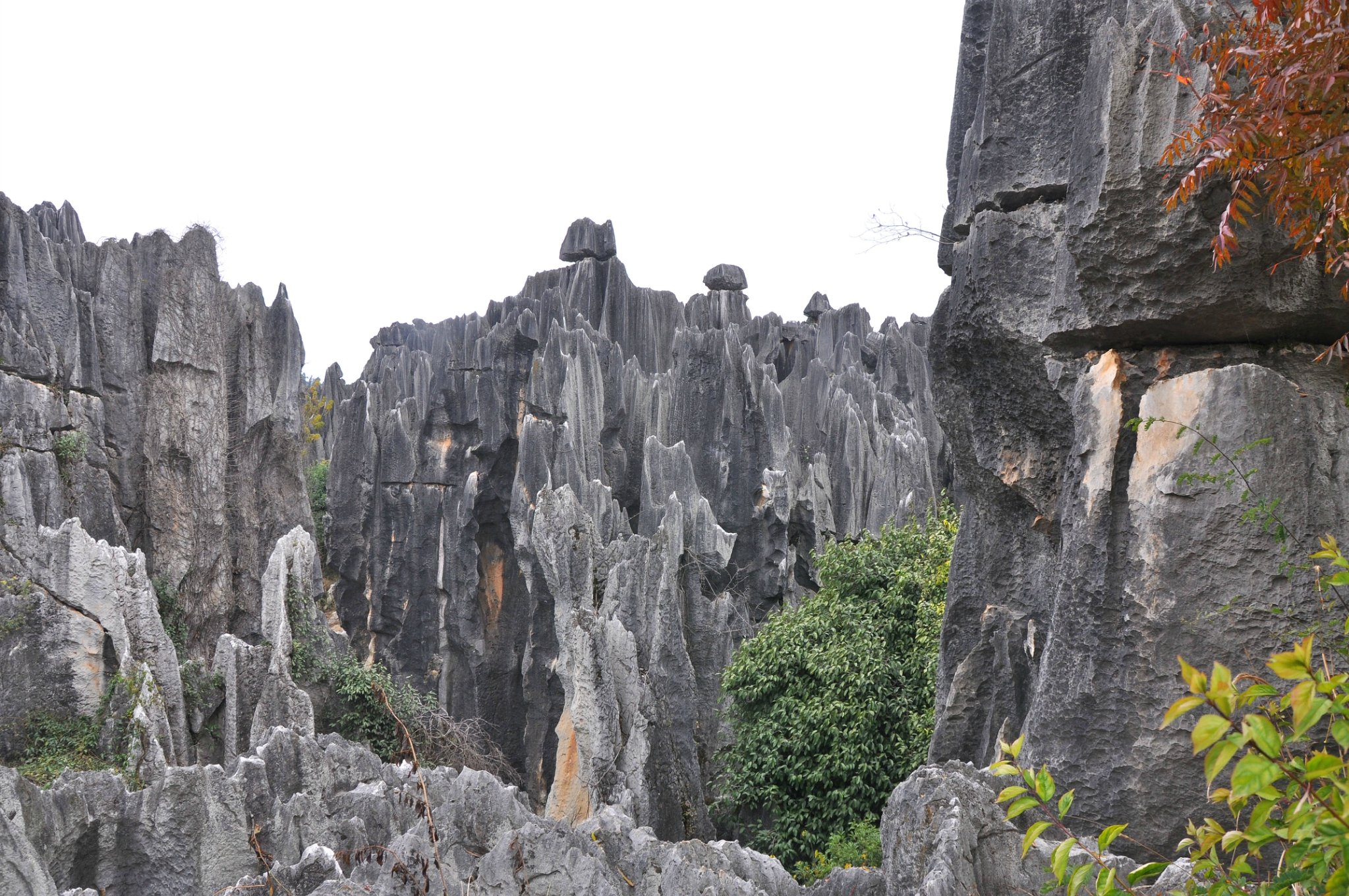 石林景区也又分成几个部分,实际上精华就是大石林部分,也是主要的景点