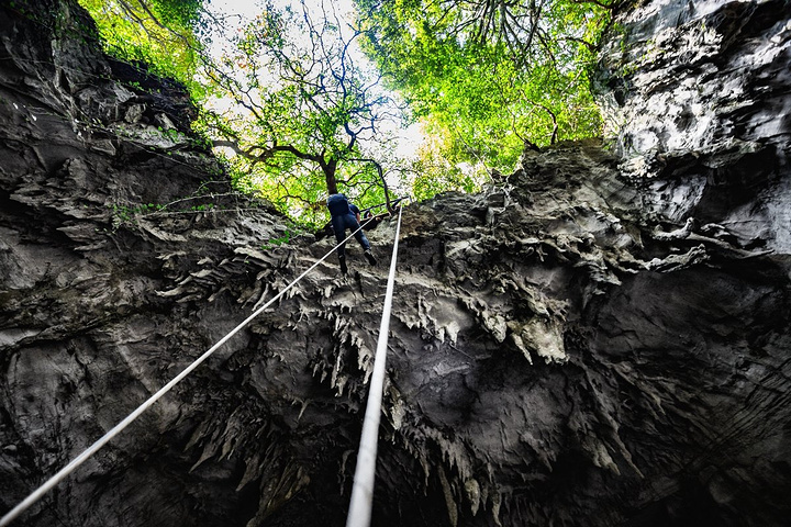 居然有9.6万平方米的植物覆盖率,这个数据和峭