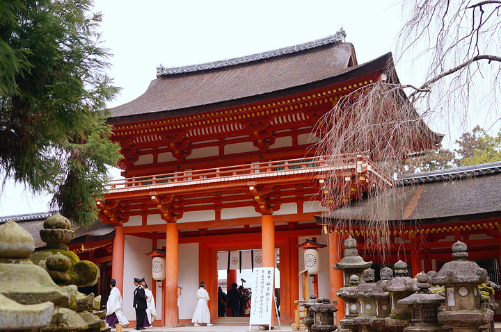 21偶遇春日大社的祭祀活动乌冬面其实很饱的 春日大社 评论 去哪儿攻略