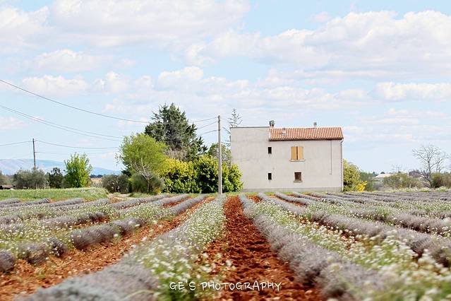 凡尔登大峡谷和圣十字湖