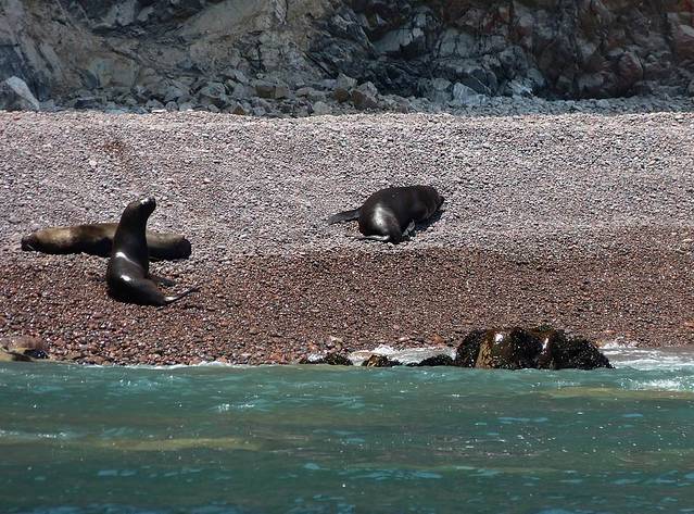 帕拉卡斯国家保护区