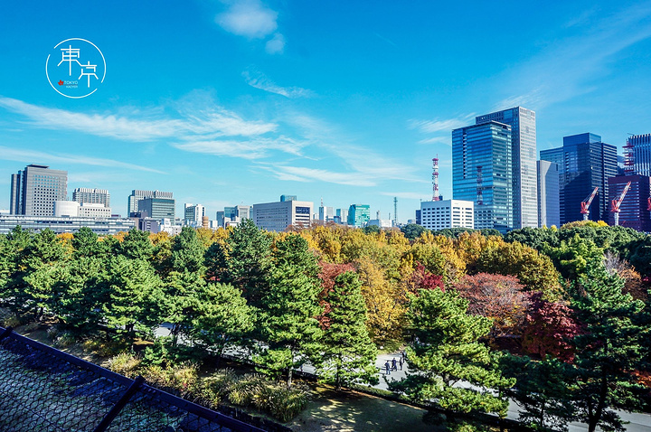 21而想要品味东京之秋 自然不能错过皇居东御苑和新宿御苑两大赏秋圣地 炫目的秋叶红 皇居东御苑 评论 去哪儿攻略