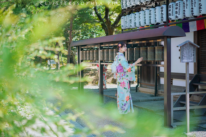 后才发现 寺院依山而建 山上种满高高矗立的竹林 不进来的话 从外面是绝对看不出原来内里大有乾坤 高台寺 评论 去哪儿攻略