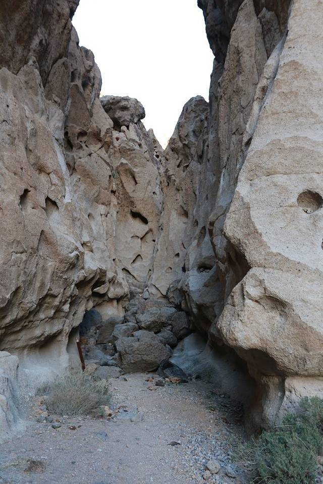 莫哈维国家保护区