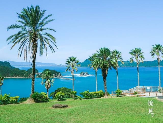 青岛亚热带植物园