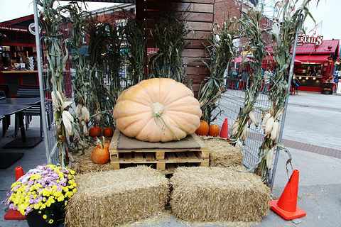 拜沃德市场旅游景点攻略图