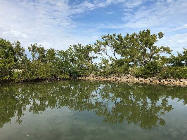 比斯坎国家公园