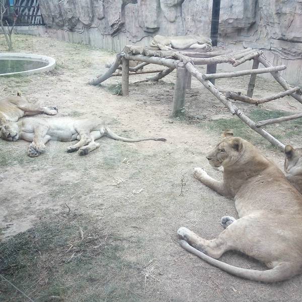 2019隐贤山庄门票,东莞隐贤山庄游玩攻略,隐贤