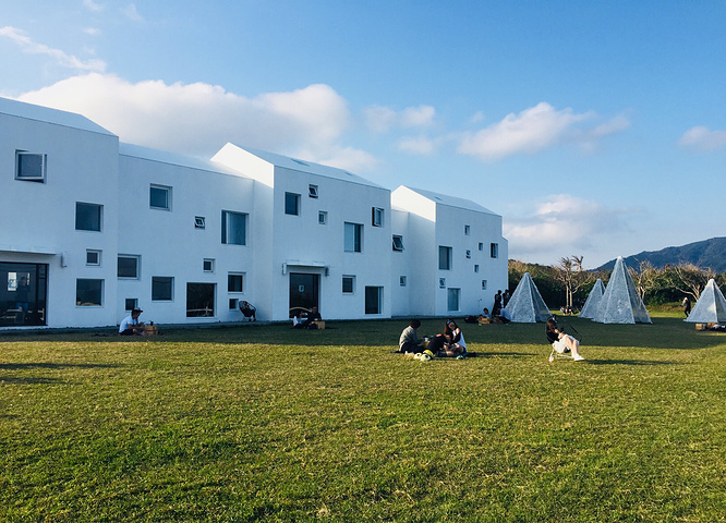 今天天气不错 天气预报大概有30度 决定猫在酒