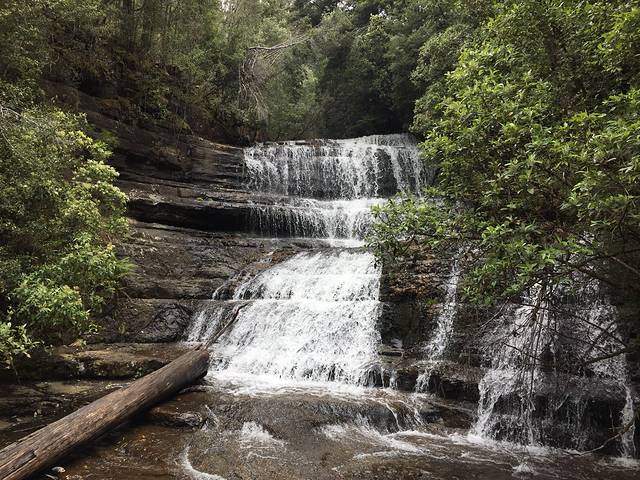 费尔德山国家公园