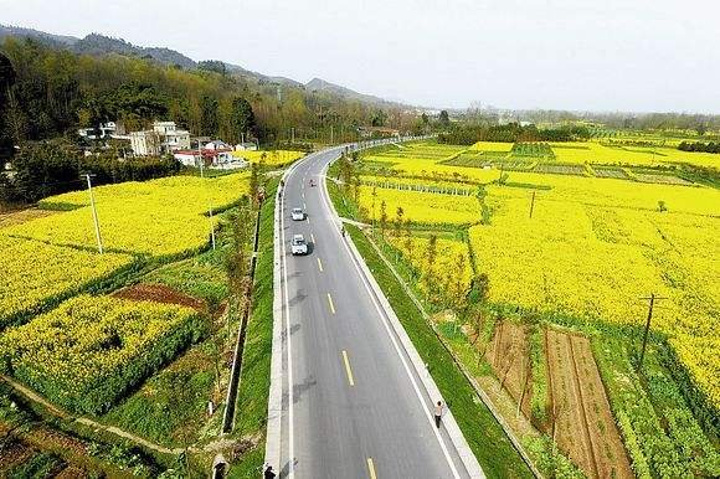 "每年三月，道路两旁的油菜花漫山遍野，一望无垠，美不胜收。重庆路素有“中国最美乡村公路”之称_崇州重庆路"的评论图片