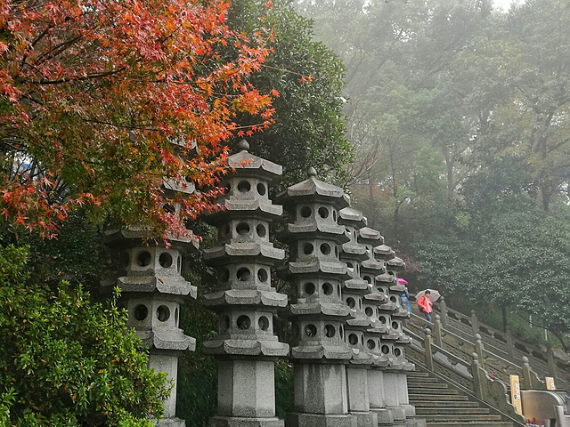 "西湖真的很大，许多景点虽然都在西湖畔，却相距甚远。比如雷峰塔和断桥就隔着一汪碧绿的湖水，两两相望_雷峰塔"的评论图片