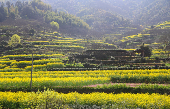 清明·松阳┃素面江南的正确打开方式(含各村落对比与方位)-松阳旅游攻略-游记-去哪儿攻略