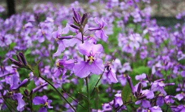 南京信息工程大学