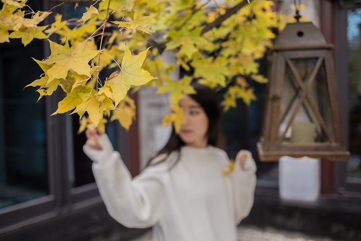 "岩盐黑椒珍菌派，吃起来很像牛排，口感软糯_京兆尹(雍和宫店)"的评论图片