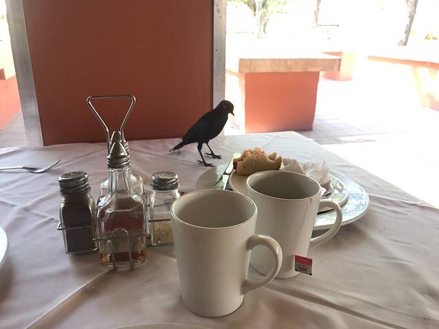 埃托沙国家公园