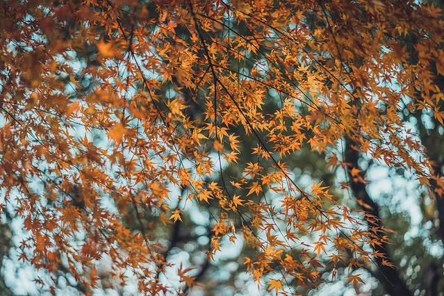 华东政法大学(长宁校区)