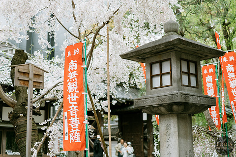 顶法寺旅游景点攻略图