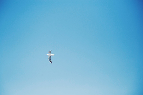 2018【乌拉特前旗旅游攻略】乌拉特前旗自助