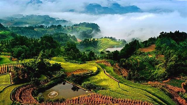 圣灯山森林公园