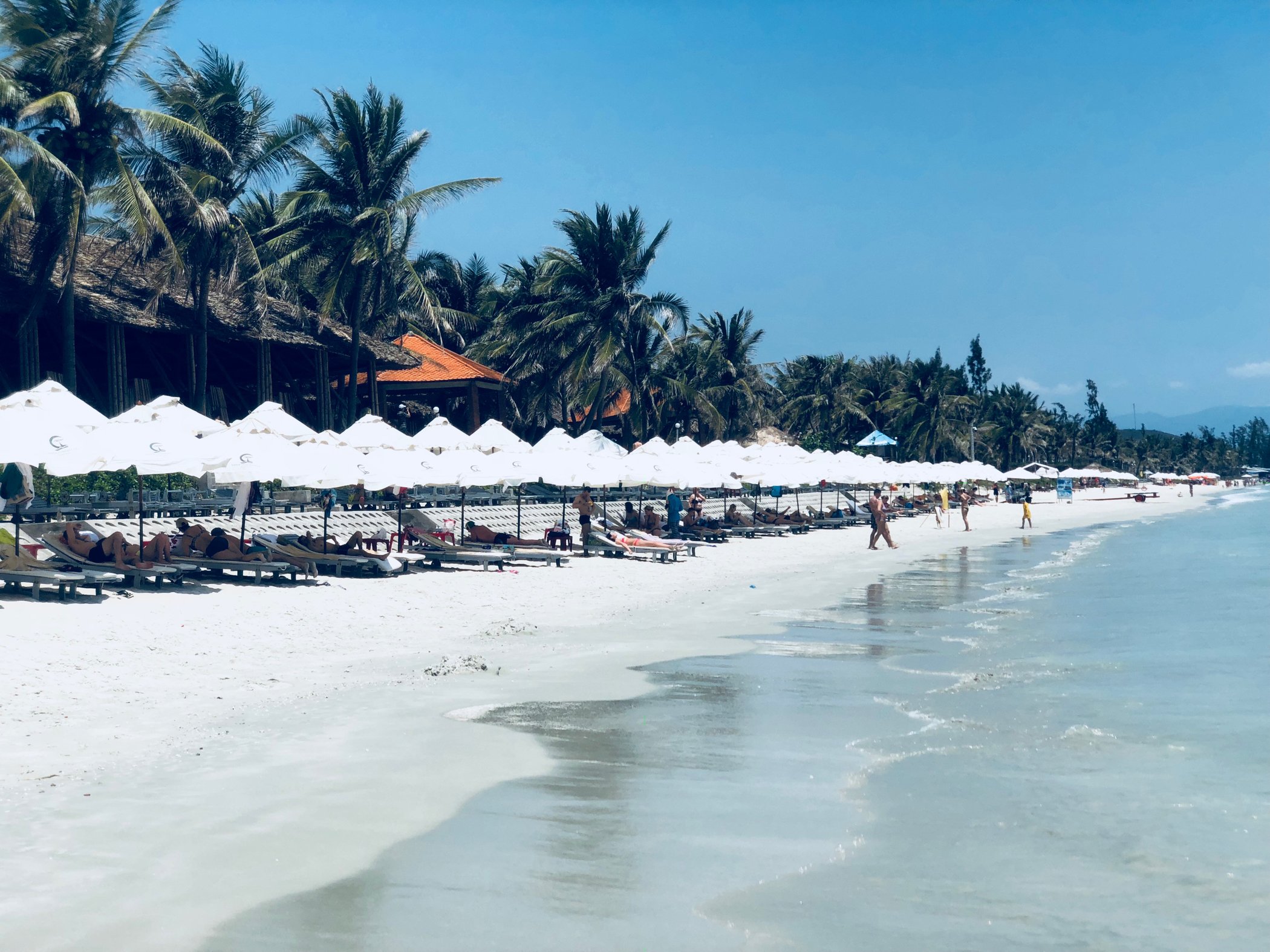 了一些哈瓦那属于酒吧在酒店的45楼可以俯瞰整个芽庄海滩风景别树一帜