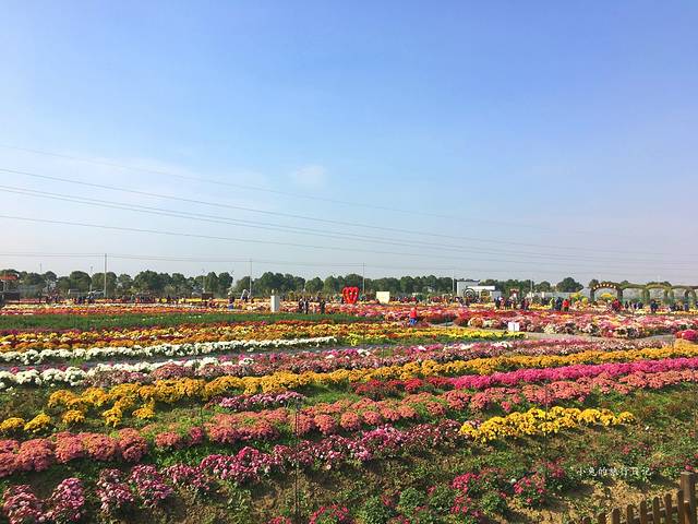 南京湖熟现代农业示范区