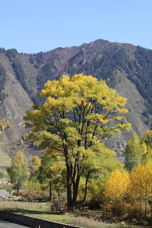 仙米国家森林公园