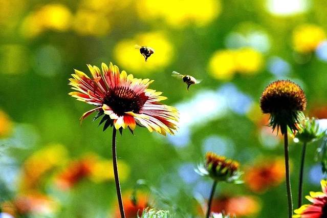 大连国际会议中心